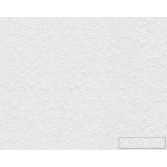   AS CREATION MeisterVlies Create 14111-8 fehér gipsz mintás festhető tapéta